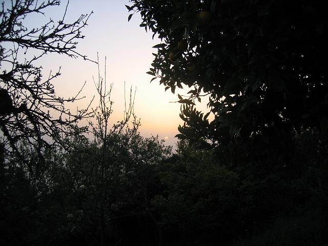 La-Palma_2008_128_cpt_2008-03-13_03.jpg - Hausaussicht Sonnenuntergang