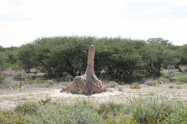 Namibia_2007_339_slr_20070328_01.jpg - Richtung Okaukuejo Termitenbau (C38)