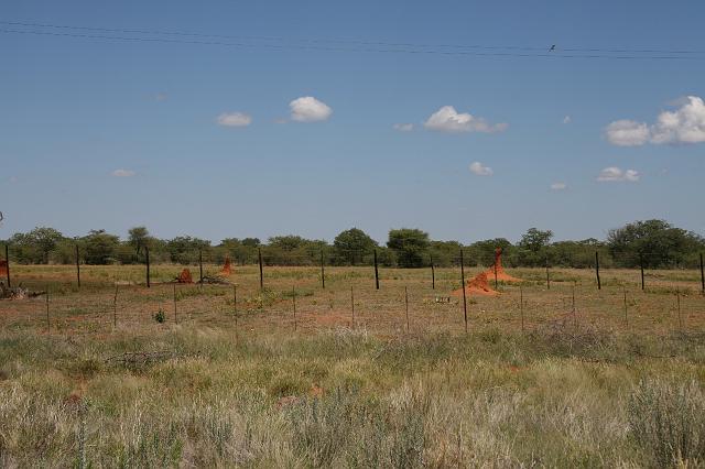 Namibia_2007_344_slr_20070328_02.jpg - Richtung Okaukuejo Termitenbau (C38)
