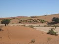 Namibia_2009_303_cpt_2009-03-15_036