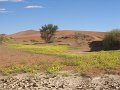 Namibia_2009_304_cpt_2009-03-15_037